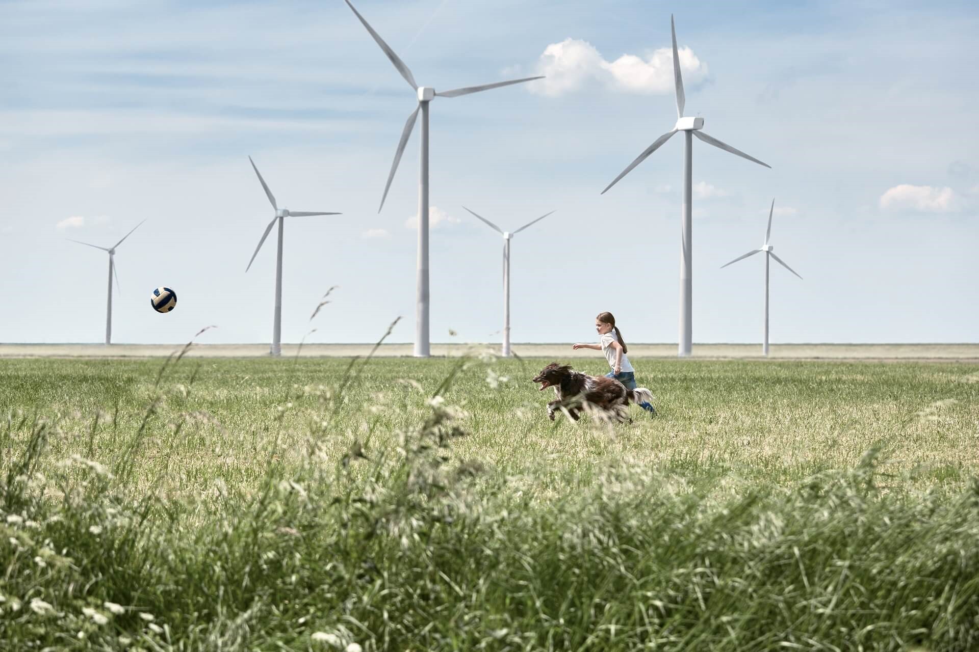 Meisje rent met haar hond achter een bal aan in een windmolenpark