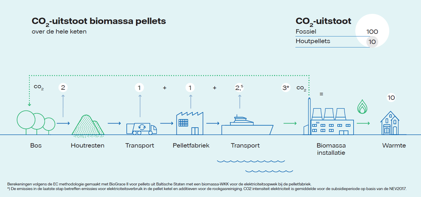 Infographic over de Co2-uitstoot biomassa pellets | Vattenfall biomassacentrale
