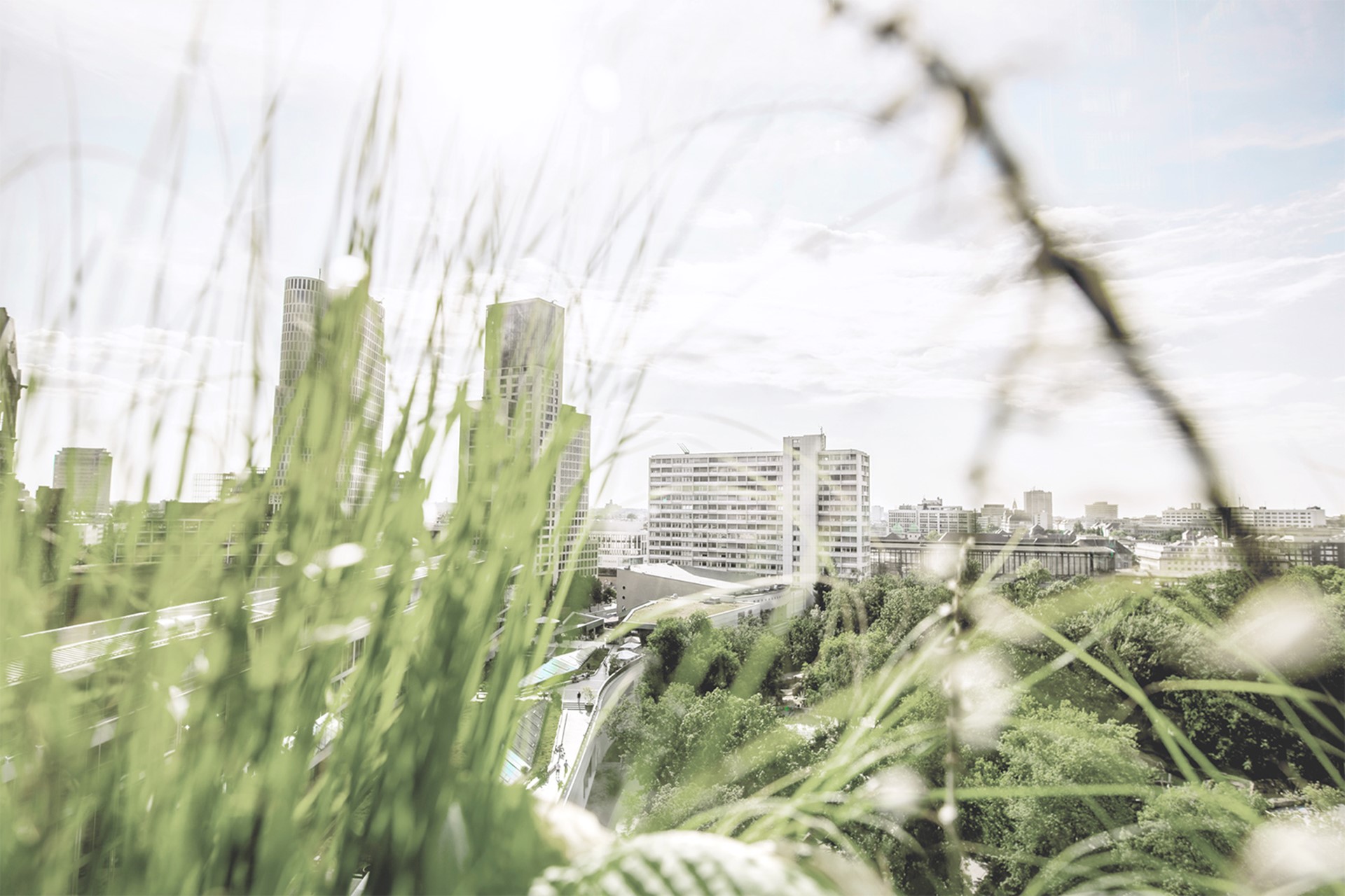 Duurzame groene stad met gebouwen waar urban gardening wordt toegepast