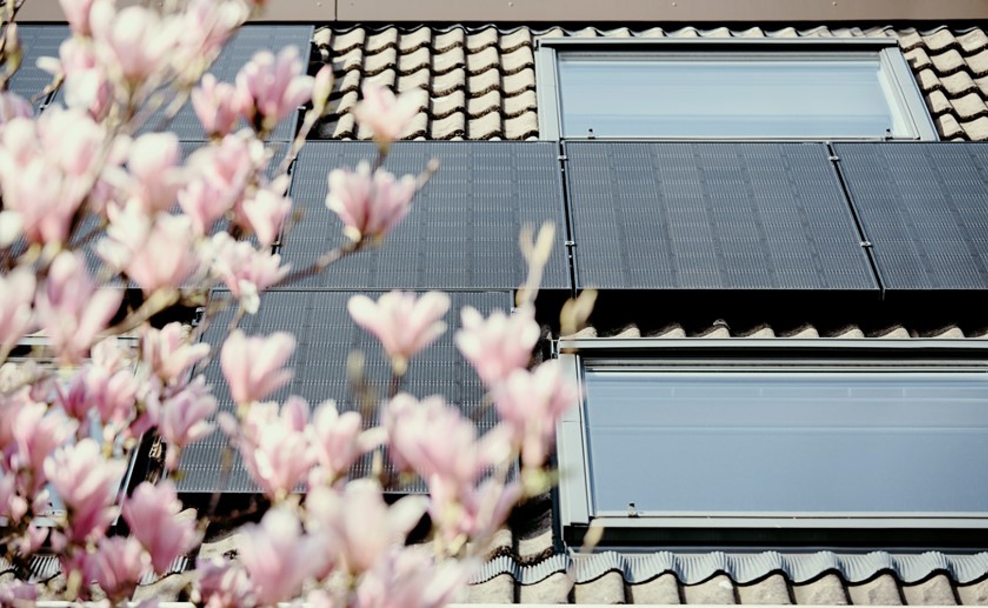 Zonnepanelen op het dak van een huis 