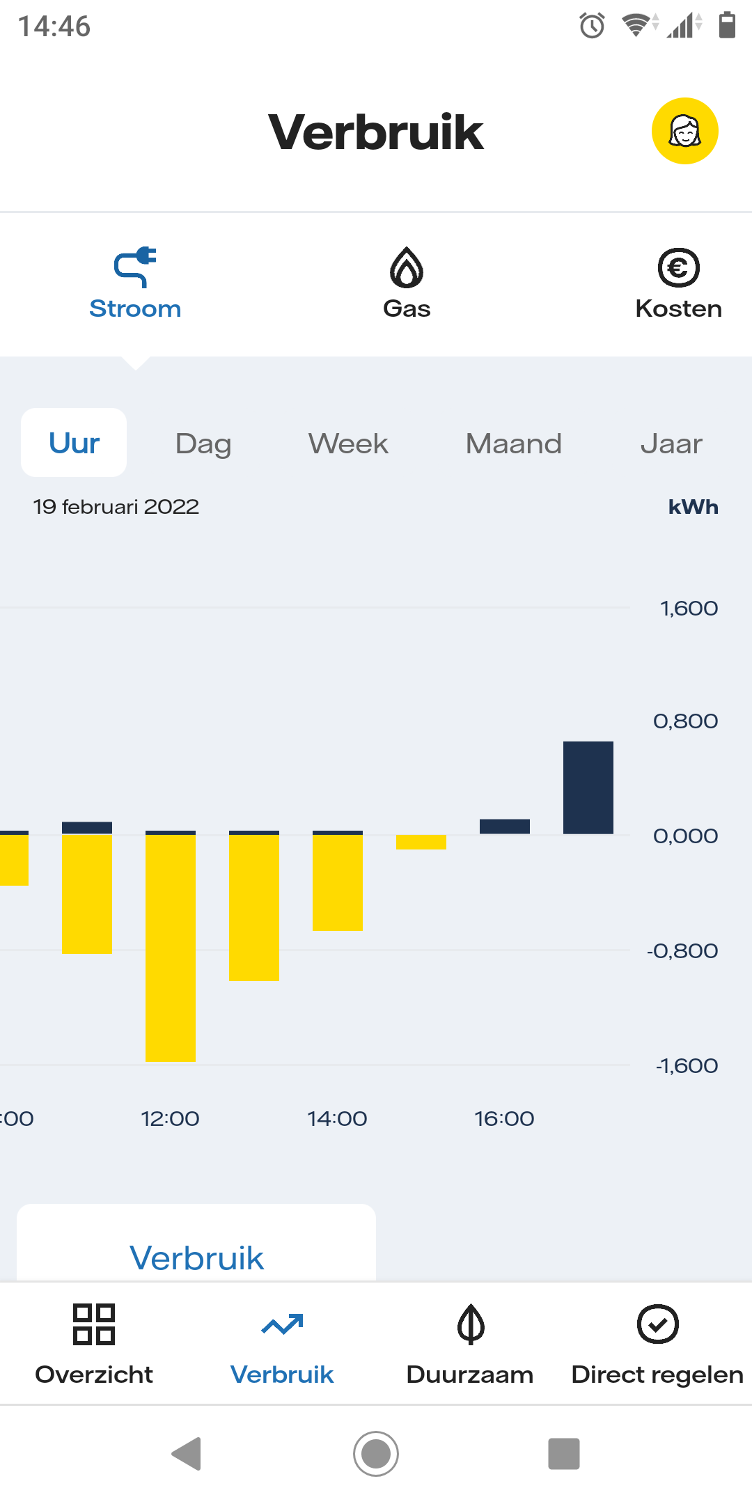 Schermafbeelding van mobiel met verbruik per uur in de Energie app