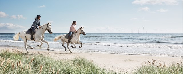 Twee vrouwen rijden paard op het strand
