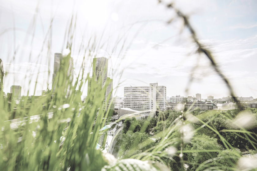 Natuur op de voorgrond en de stad op de achtergrond