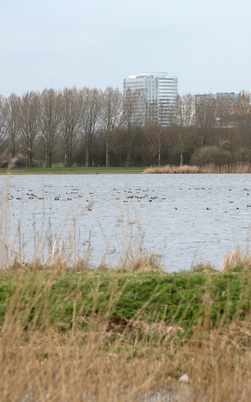 Stadskoude is hot, zie de Ouderkerkerplas