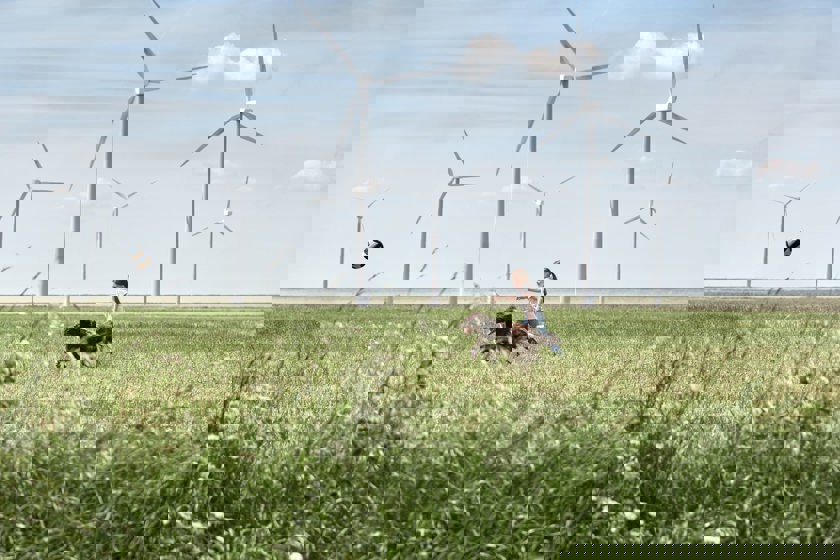 Meisje met hond en windmolen: In 2023  100% groene stroom uit Nederland voor onze klanten thuis en in het mkb 