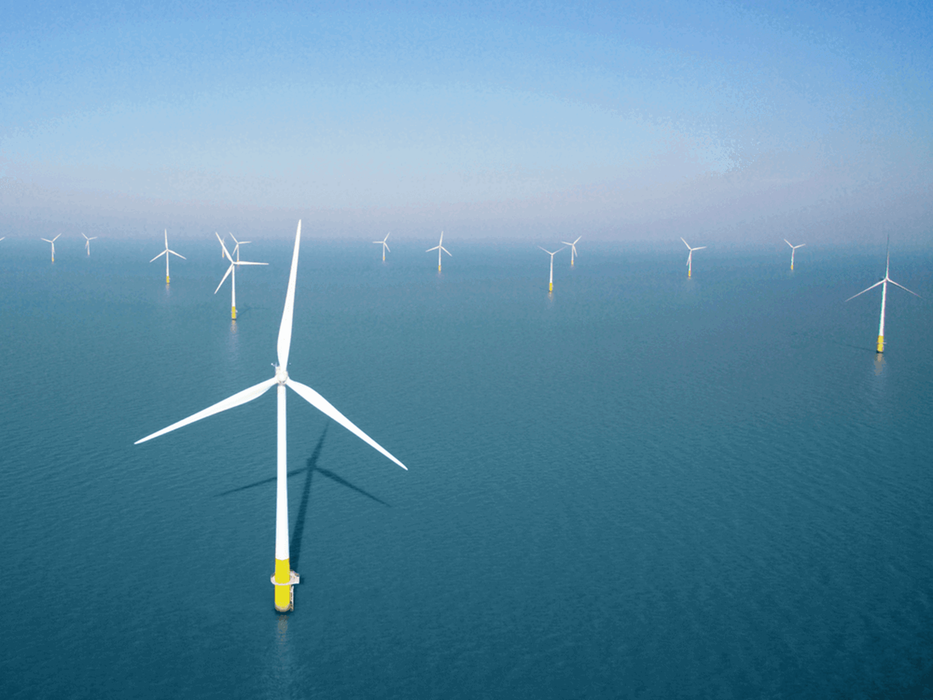 Talloze windmolens in een windpark op zee