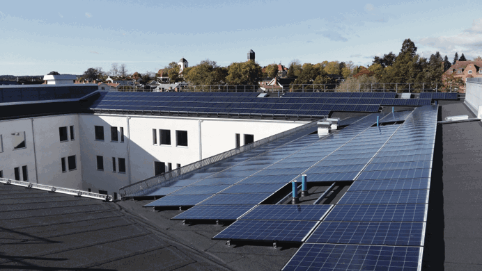 Dak van een bedrijf dat vol ligt met zonnepanelen