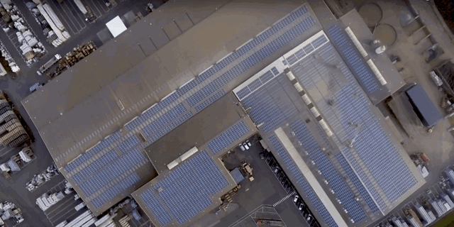 Video Vandersanden