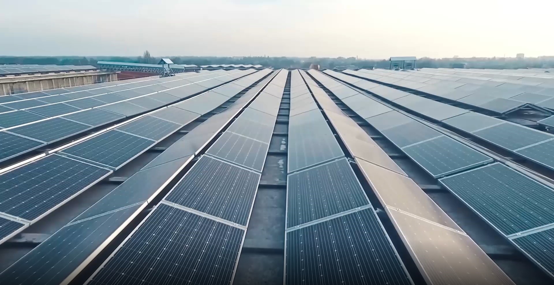 Overzicht van honderden zonnepanelen op het dak van een bedrijfspand
