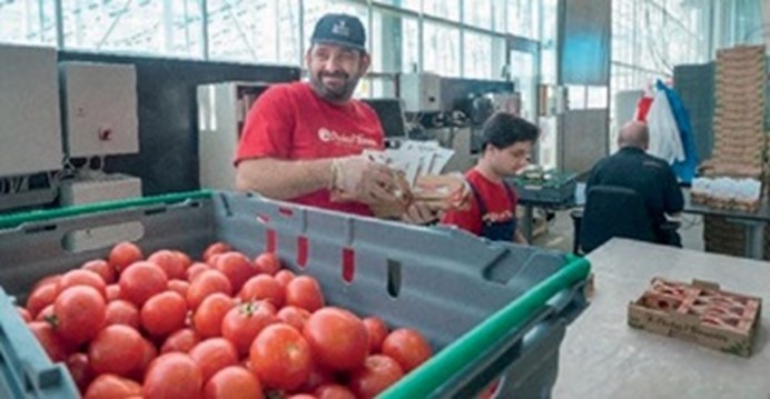 Power-as-a-Service als ondersteuning voor tomaten- en zalmkwekerijen