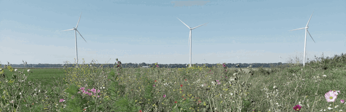 MarktRappodcast van maart 2026