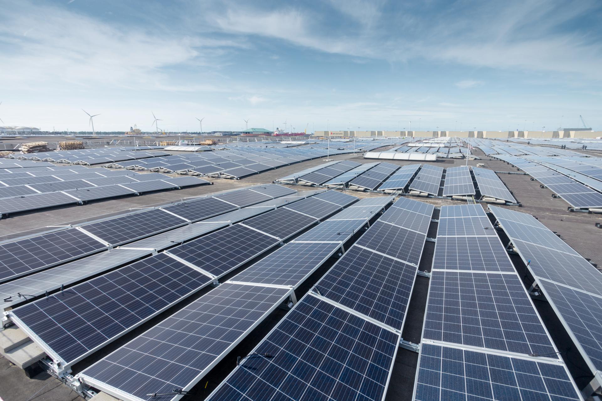 Rij met zonnepanelen