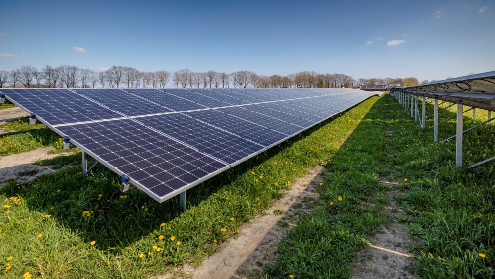 Foto van zonnepark Nieuw Coevorden