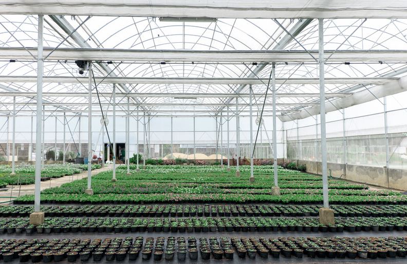 Subsidieregelingen voor de glastuinbouw
