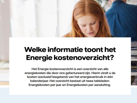 Energiekostenoverzicht sneller downloaden