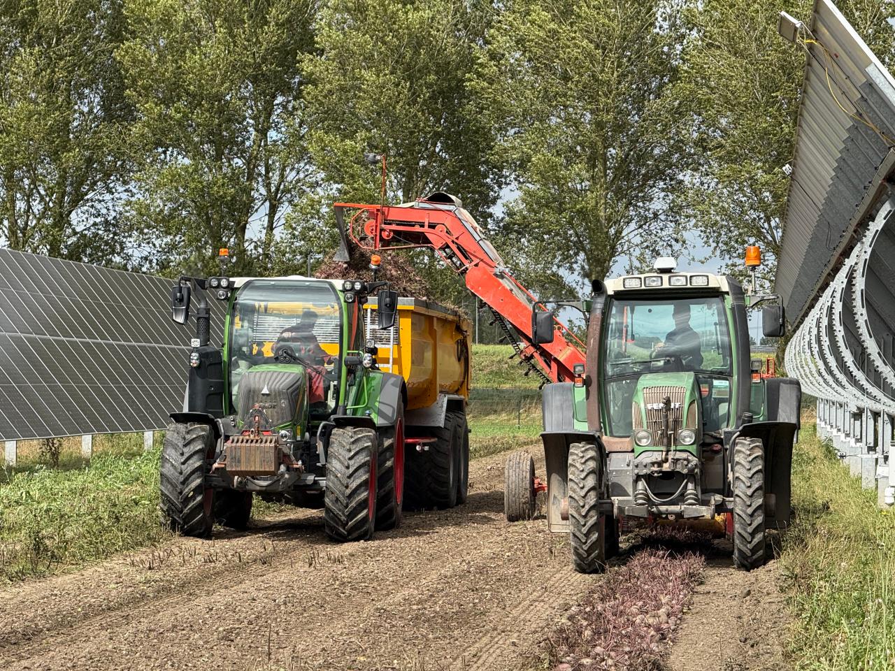 De eerste oogst op zonnepark Symbizon
