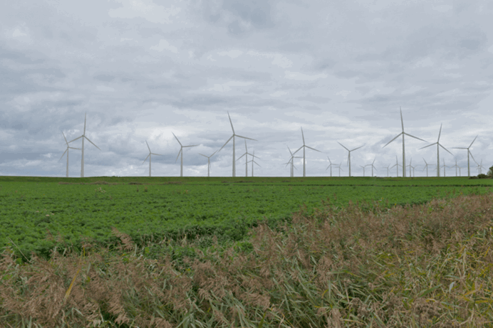 Windpark Eemshaven-West