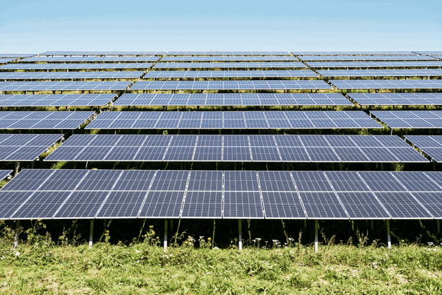 Veld vol met zonnepanelen