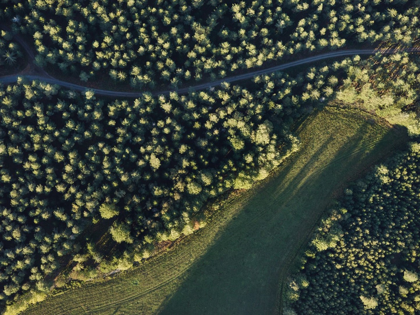 Luchtfoto van een natuurgebied met voornamelijk loofbomen
