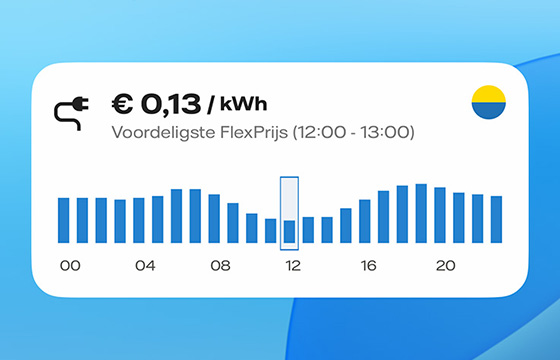 Screenshot van een FlexPrijs widget van stroom. Uitgebeeld is een grafiek met de stroomtarieven per uur op een dag.