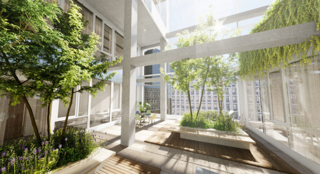 Mooi aangelegde tuin met boompjes op een beschut dakterras van een groen gebouw