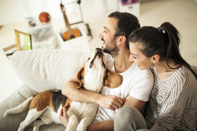 Stel met hond op de bank | Vattenfall Energie Stroomprijs