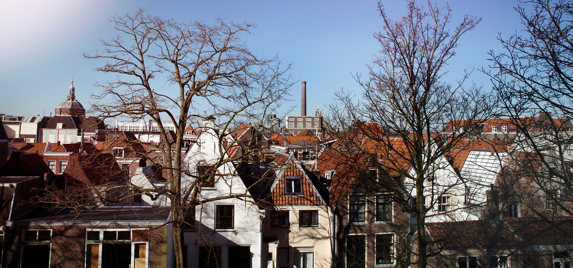 Panorama daken in Leidse regio