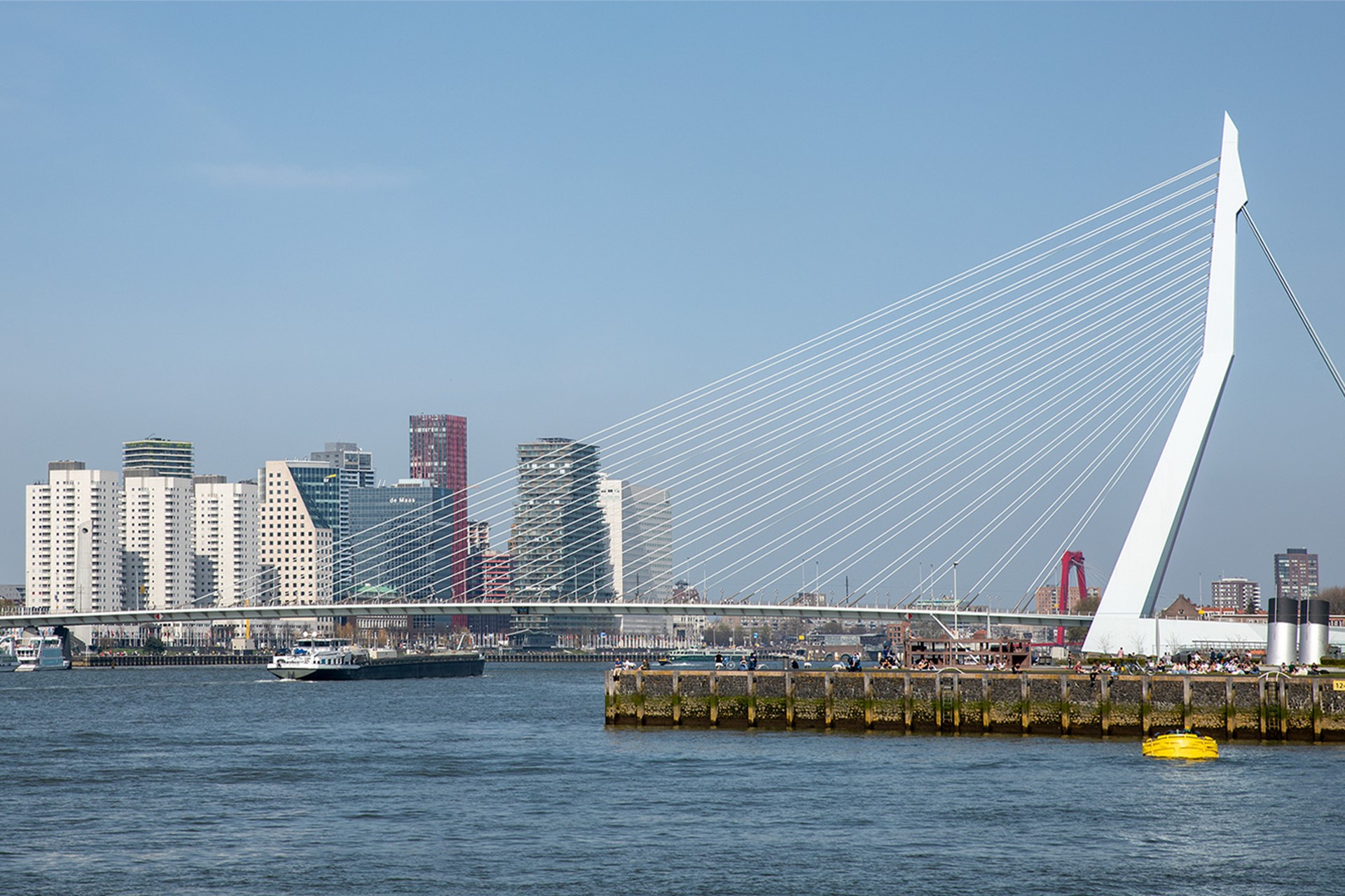 Erasmusbrug en gebouwen in Rotterdam
