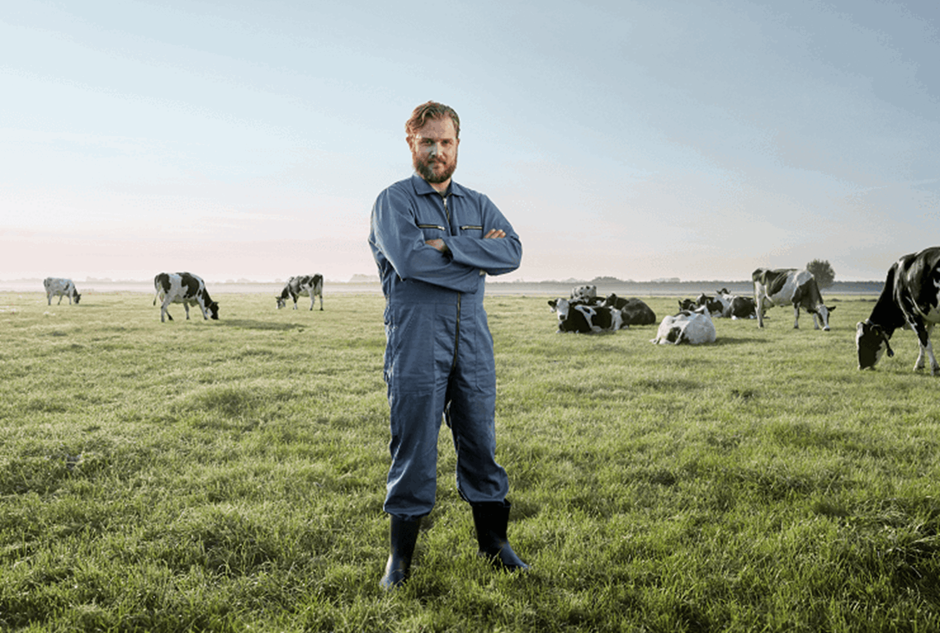 Boer staat in weiland met koeien op de achtergrond