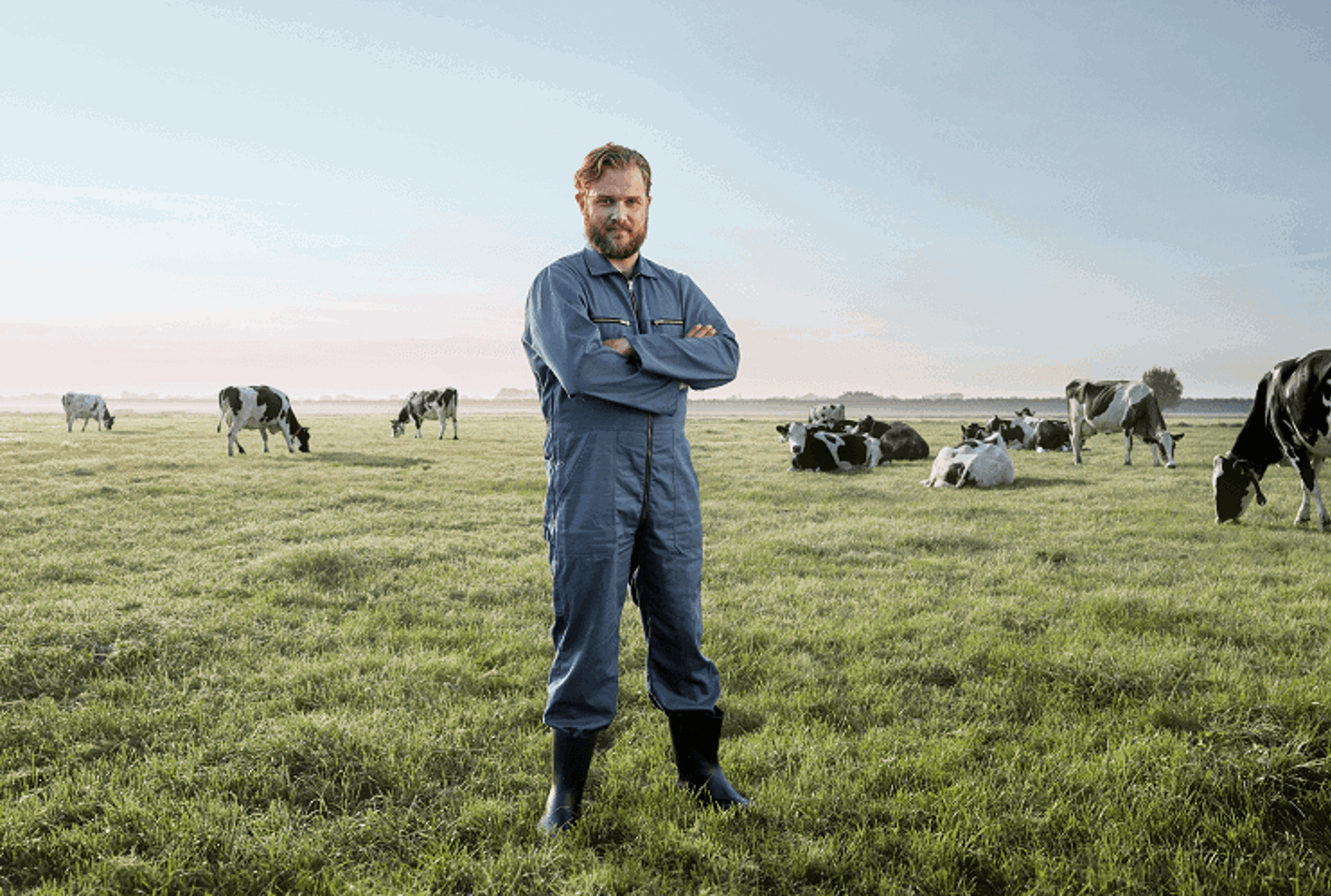 Boer staat in weiland met koeien op de achtergrond