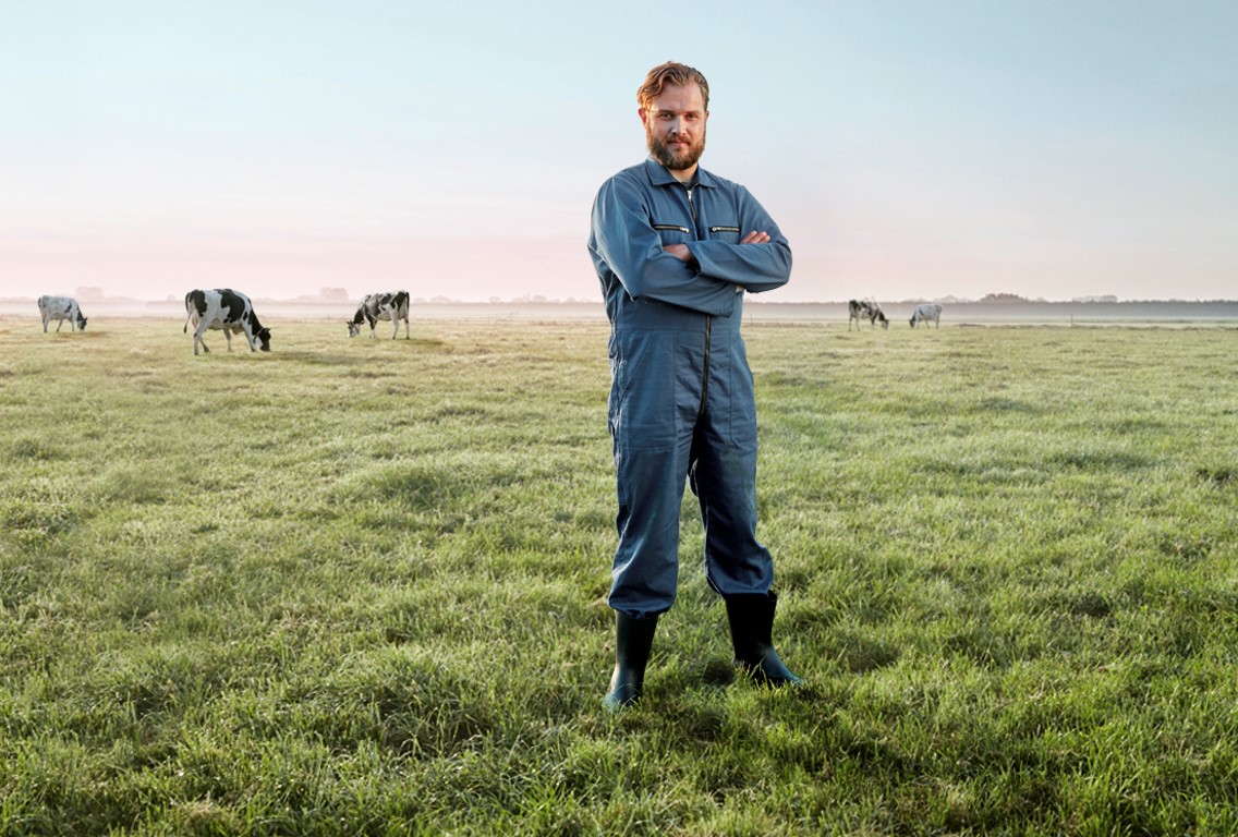 Boer staat in weiland met koeien op de achtergrond
