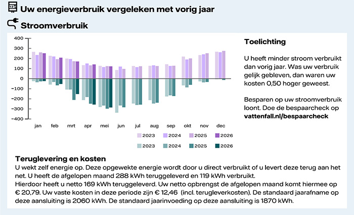 Voorbeeld van het verbruik, de teruglevering en de kosten van stroom in de PDF van het energierapport.