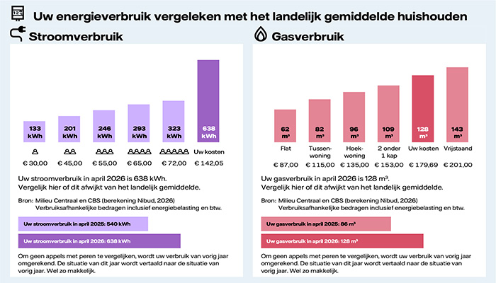 In dit voorbeeld van de PDF van het energierapport wordt het stroomverbruik en het gasverbruik vergeleken met andere huishoudens in Nederland.