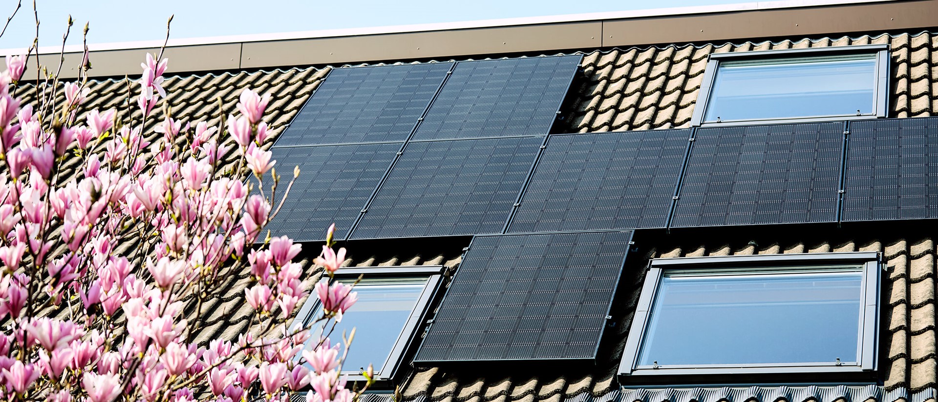Rendement zonnepanelen |  Zonnepanelen op het dak van een huis