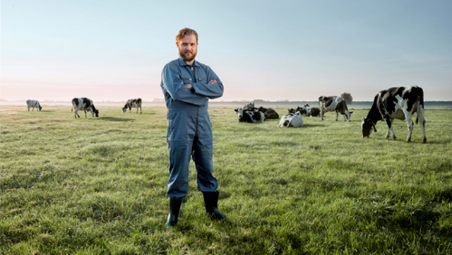 Boer in wei met koeien