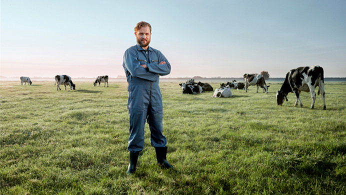 Boer in de wei met koeien