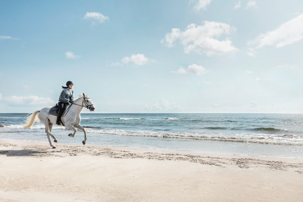Paard rijden op het strand