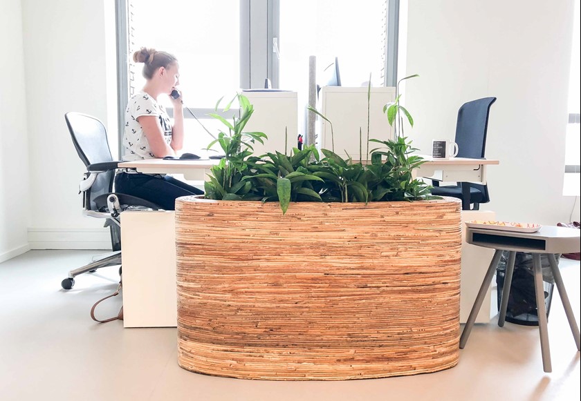 Vrouw op kantoor met voor het bureaublok een mooie grote houten plantenbank met veel groene planten
