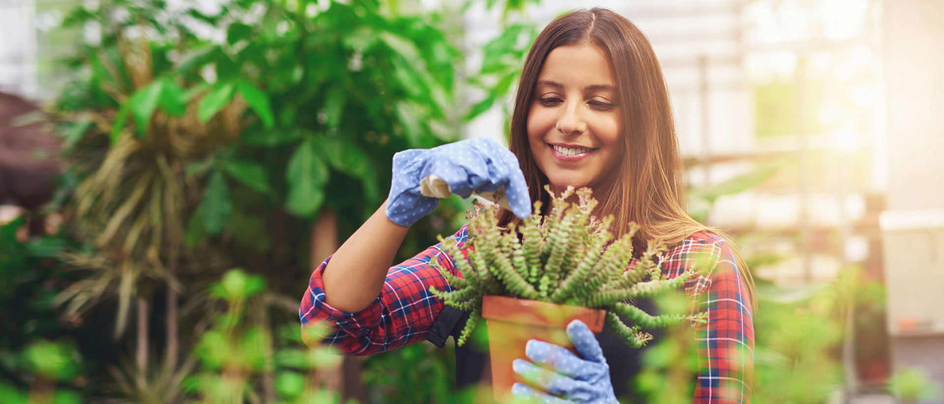 Een kas van een tuinder | tuinderverklaring